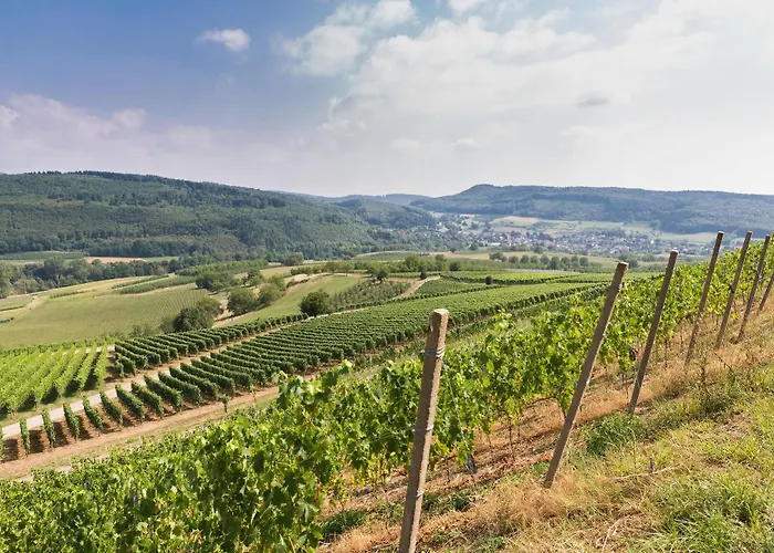 Badblick Aparthotel 3*